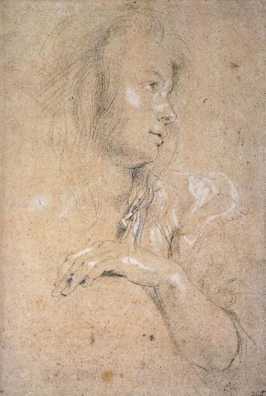 Peter Paul Rubens Study of Head